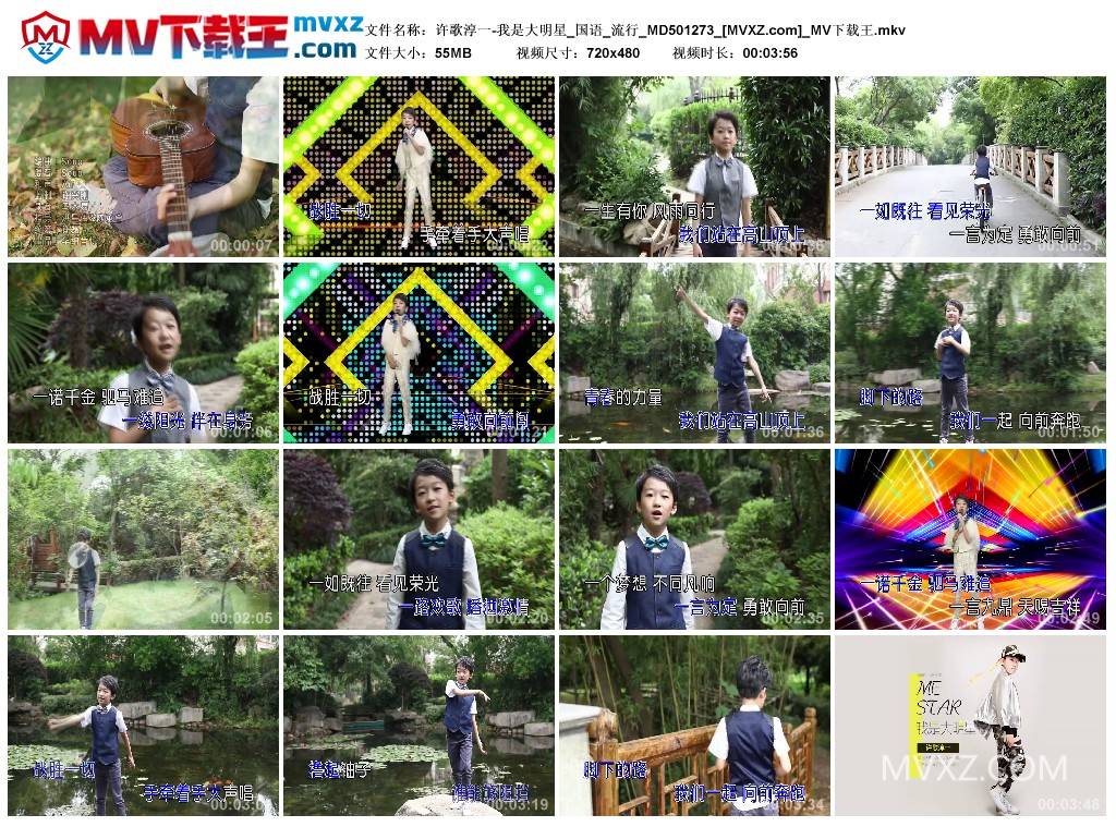 许歌淳一-我是大明星_国语_流行_MD501273